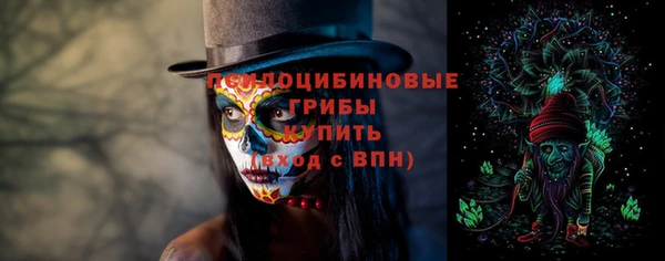 ПСИЛОЦИБИНОВЫЕ ГРИБЫ Алексин