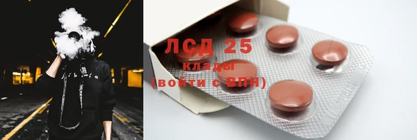ПСИЛОЦИБИНОВЫЕ ГРИБЫ Алексин