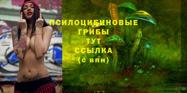 ПСИЛОЦИБИНОВЫЕ ГРИБЫ Алексин