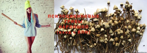 кокаин колумбия Алзамай
