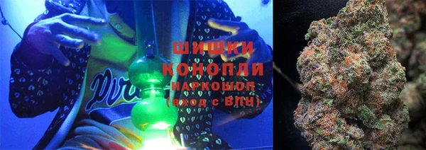 ПСИЛОЦИБИНОВЫЕ ГРИБЫ Алексин